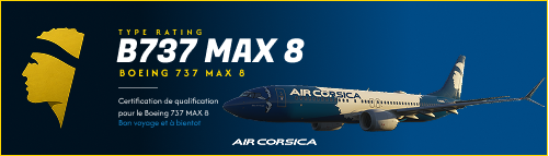 B737  Max 8